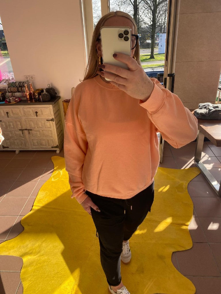 Entdecke dein neues Lieblings-Sweatshirt in Apricots aus Baumwolle! Perfekt für jeden Tag oder gemütliche Abende auf der Couch!