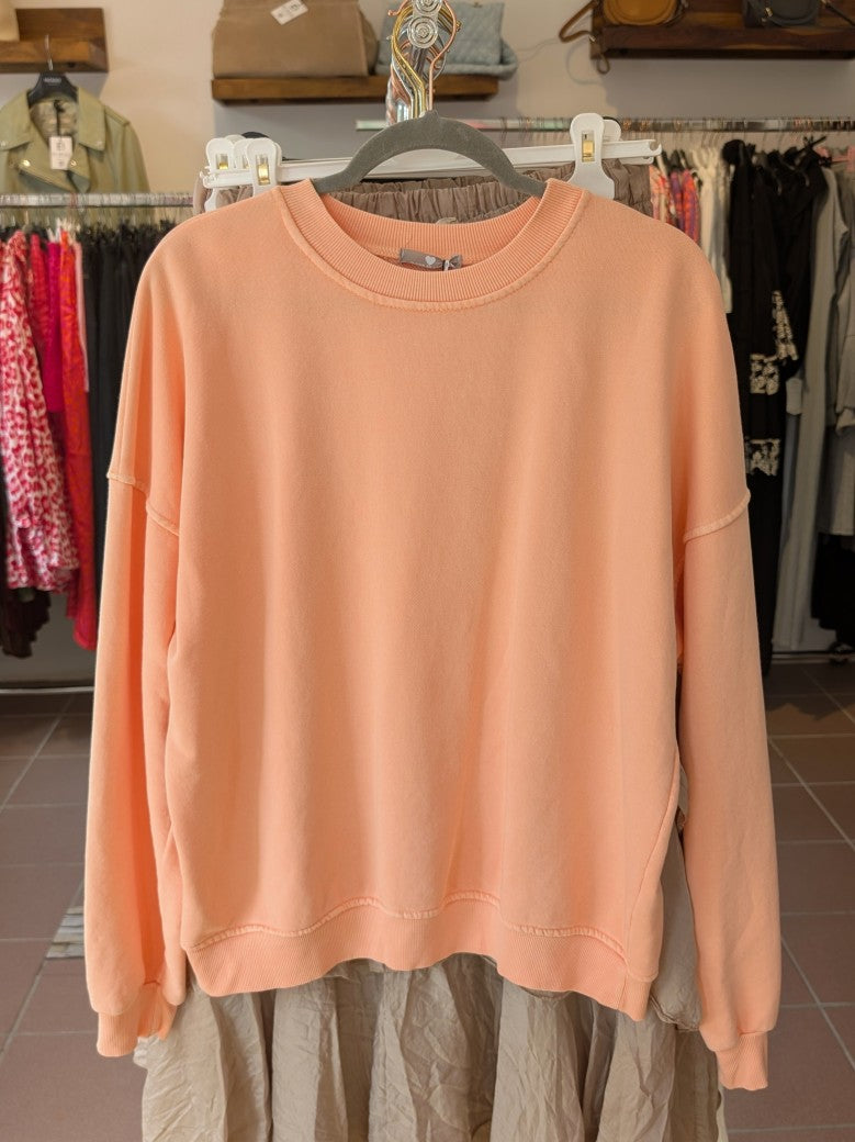 Entdecke dein neues Lieblings-Sweatshirt in Apricots aus Baumwolle! Perfekt für jeden Tag oder gemütliche Abende auf der Couch!