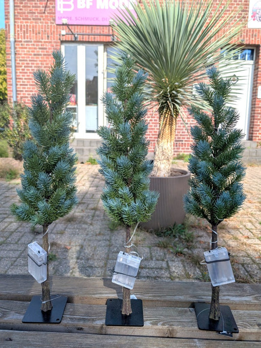 Eleganter LED Weihnachtsbaum für stimmungsvolle Festlichkeit und warme gemütliche Atmosphäre - ideales Deko-Element für kleine Räume, Fensterbretter oder Tische