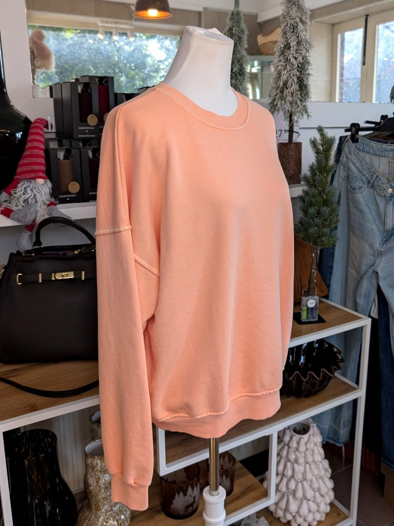 Entdecke dein neues Lieblings-Sweatshirt in Apricots aus Baumwolle von CHOICE! Perfekt für jeden Tag oder gemütliche Abende auf der Couch!